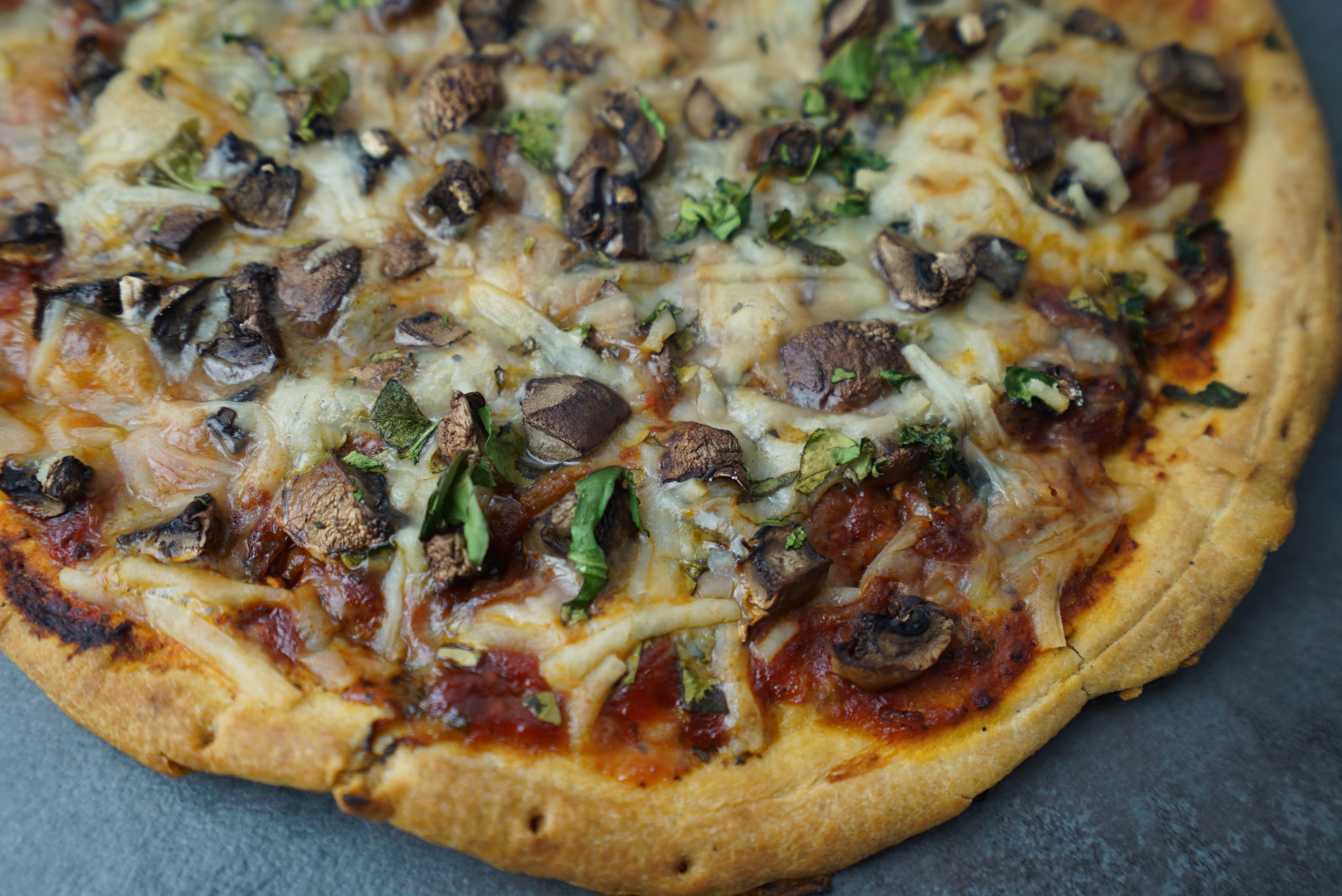 Eat Vegan or Die Trying Recipe Book