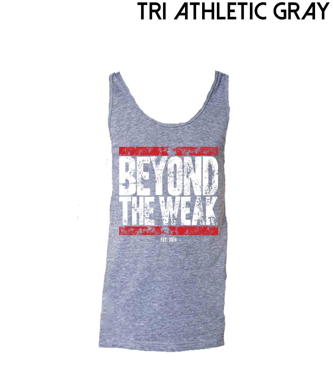 Battle Worn TriTech Tank