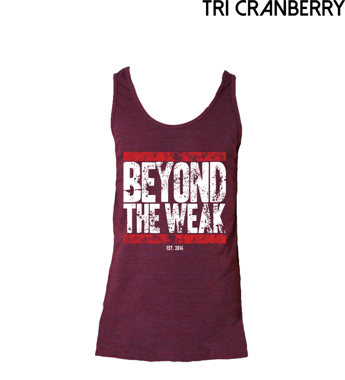 Battle Worn TriTech Tank